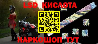 прущие крисы Славгород