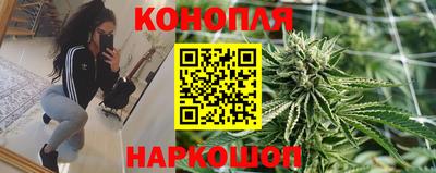 прущие крисы Славгород
