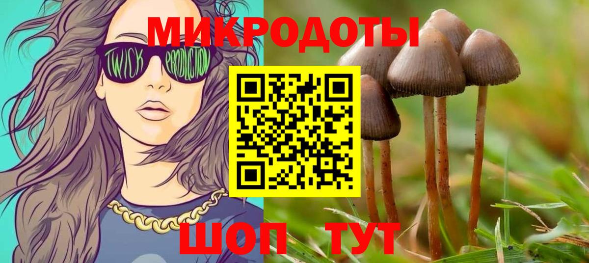 APVP Новочебоксарск