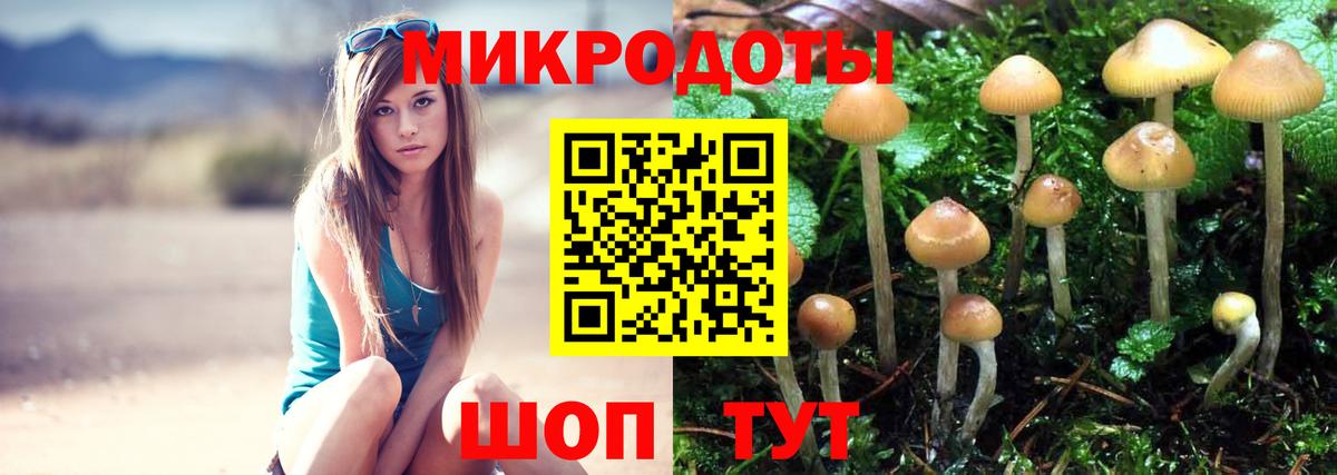 Псилоцибиновые грибы Psilocybine cubensis Новочебоксарск